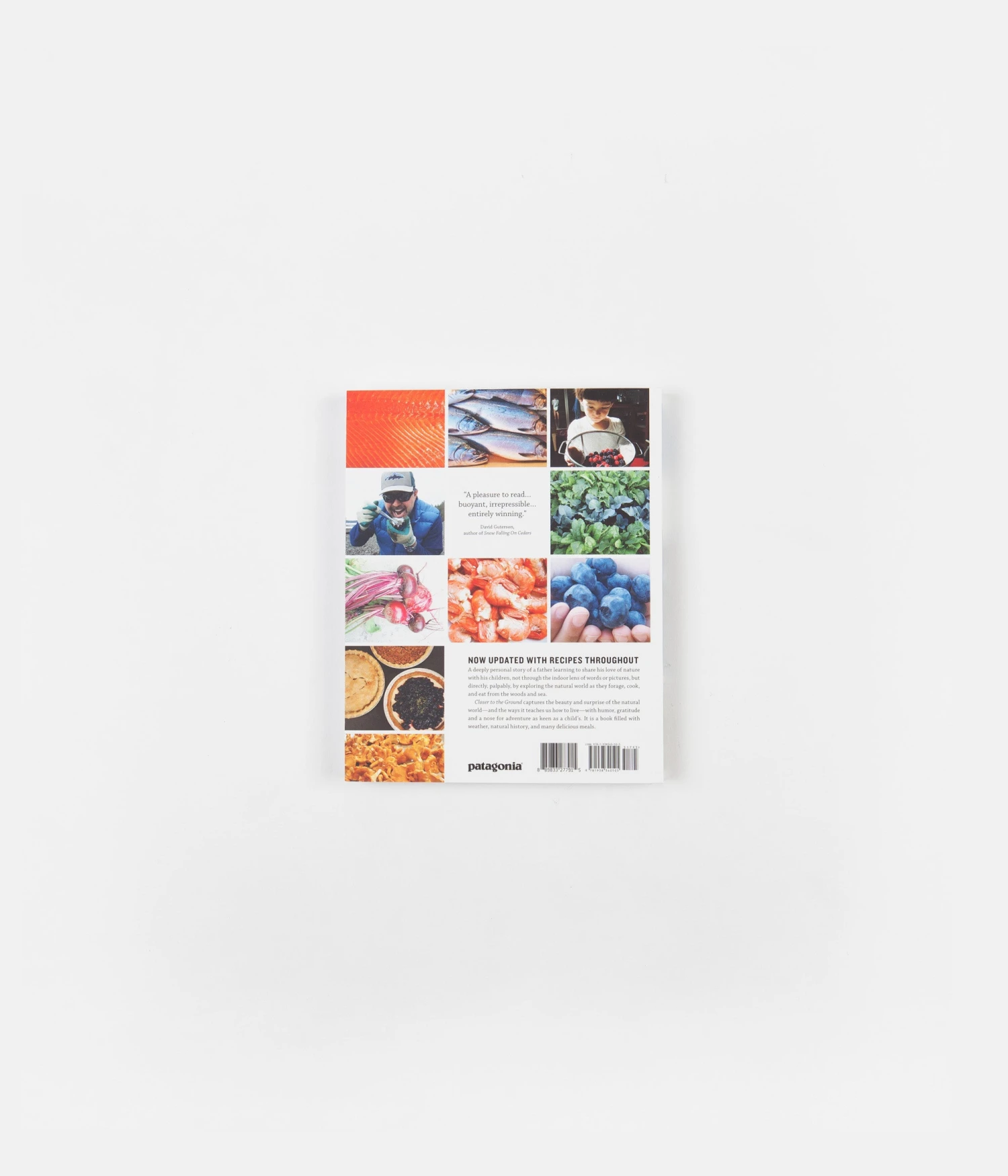 Patagonia Closer To The Ground (Paperback) - Dylan Tomine 2 Patagonia Closer To The Ground (Paperback) - Dylan Tomine - Image 2