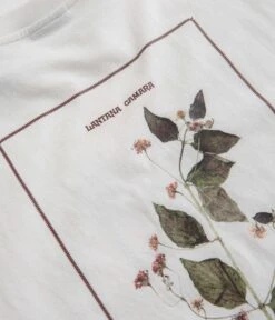 Pass Port Lantana T-Shirt - White -Outlet The Street Set Store pass port lantana t shirt white 5