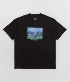 Polar Sounds Like You Guys Are Crushing It T-Shirt - Black